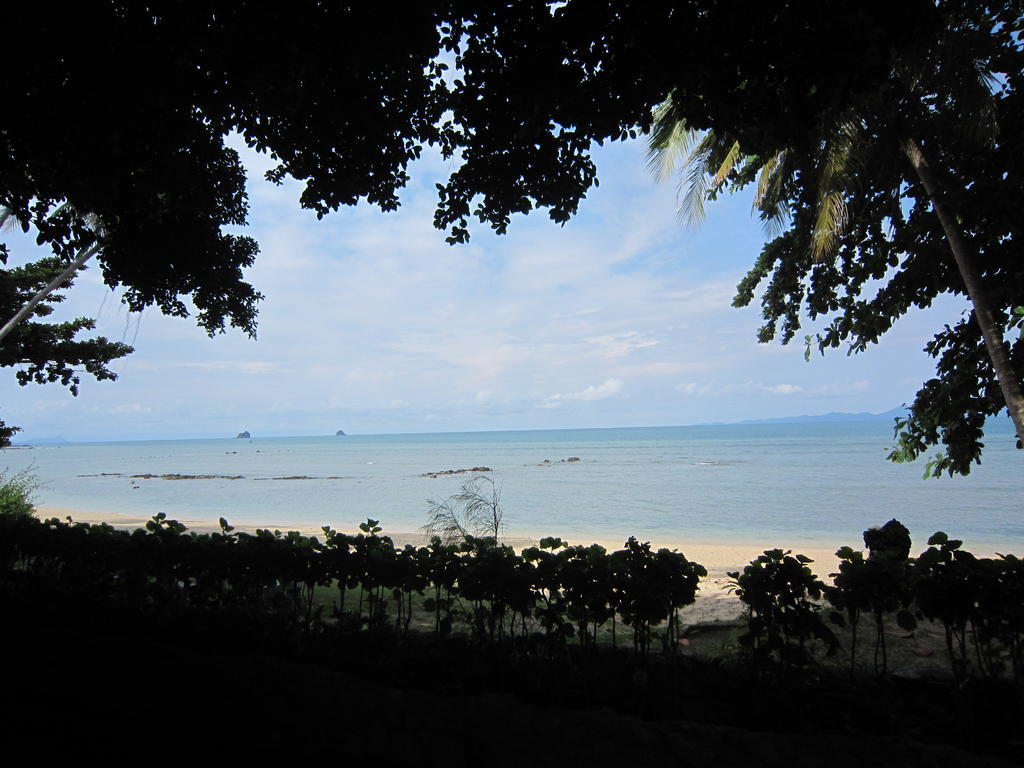 Pine Bungalow Krabi Room photo