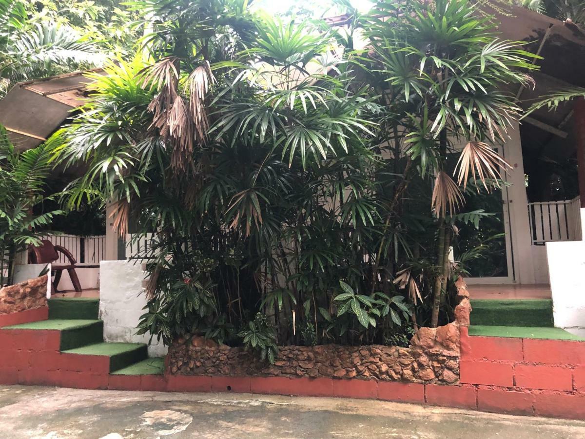 Pine Bungalow Krabi Exterior photo